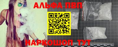 соль ск Кингисепп