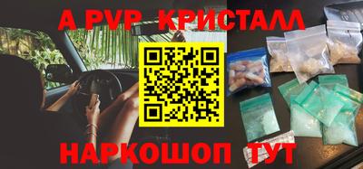 соль ск Кингисепп