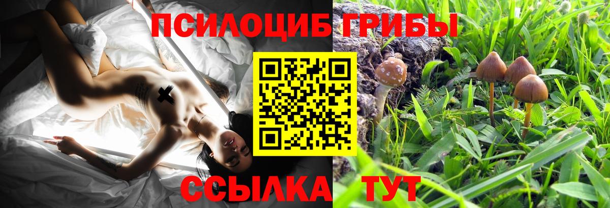 Фролово  Псилоцибиновые грибы Psilocybine cubensis  Псилоцибиновые грибы Psilocybe  купить наркотик  Вход с VPN 