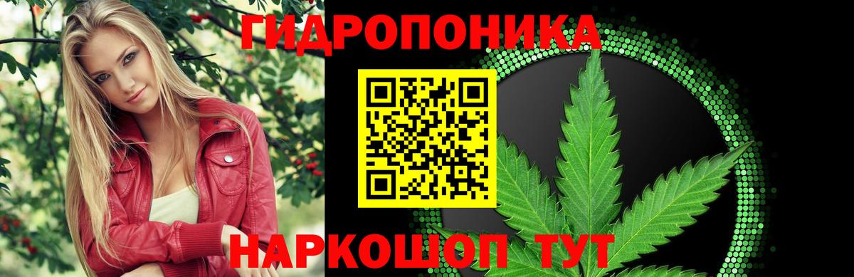 Шишки марихуана VHQ Фролово